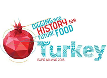 New Milan expo displays best of Turkish culture